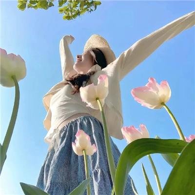菲洲奇遇记